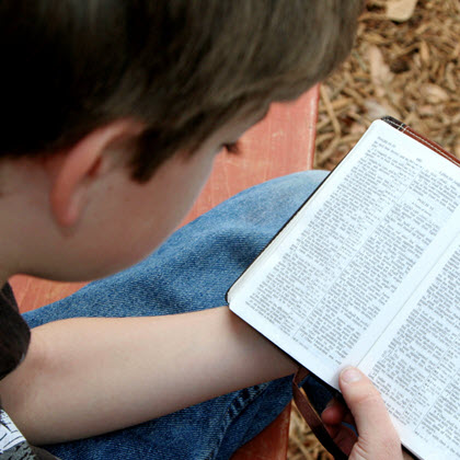 Boy Reading The Bible